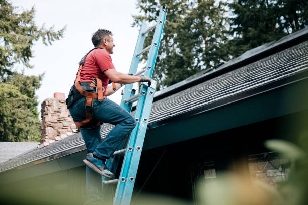 Best Gutter Installation and Repair  in Roodhouse, IL